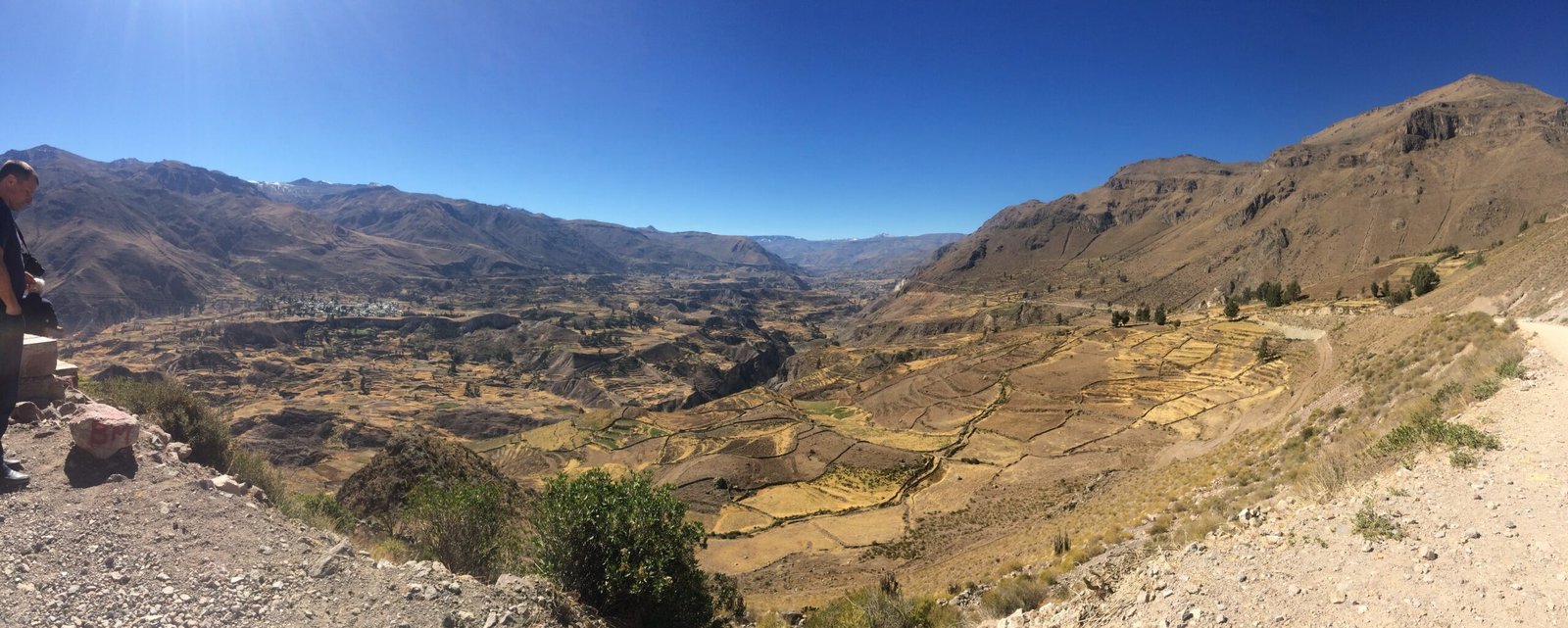 IMG_0238